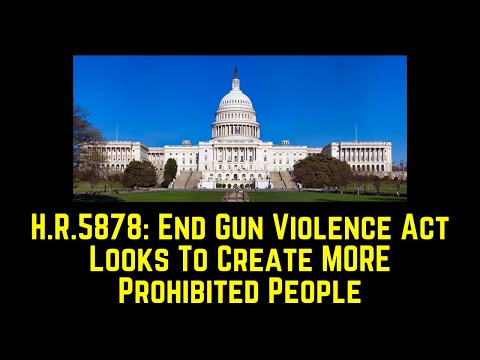 Read more about the article HR5878: End Gun Violence Act of 2021 to Add MORE Prohibited People