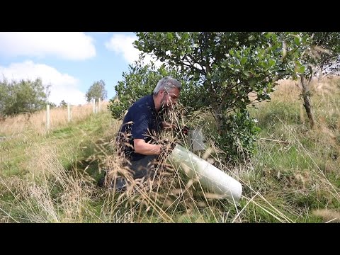 You are currently viewing Meet the team cleaning up the countryside