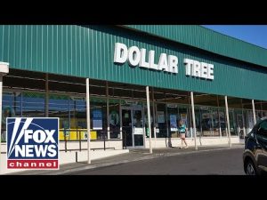 Read more about the article Inflation hits Dollar Tree, other American favorites amid sky-high consumer prices