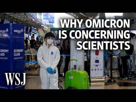 Read more about the article Why the Omicron Variant Is Concerning Scientists | WSJ