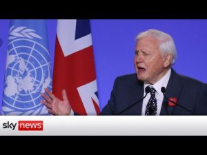 Read more about the article COP26: Sir David Attenborough urges world leaders to ‘rewrite our story’