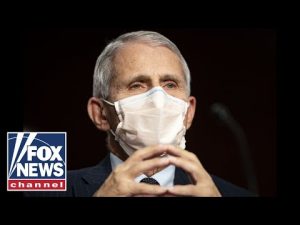 Read more about the article Ted Cruz shreds Fauci on ‘God complex’