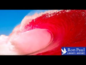 Read more about the article Red Wave! Who Was Yesterday’s Biggest Loser?