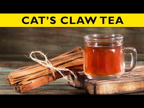 You are currently viewing Cat’s Claw Tea: The Tea Every Woman Should Know