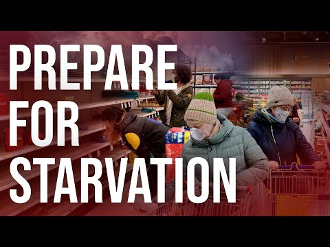 Read more about the article A Panic Buying Frenzy Has Begun As Fears Of A Dark Winter Continue To Rise