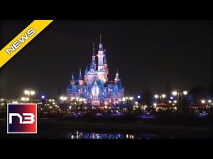 Read more about the article Could What Just Happened at Shanghai Disneyland Happen Here?