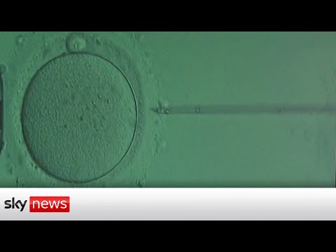 You are currently viewing COVID-19: IVF patients suffer ‘devastating delays’ due to pandemic