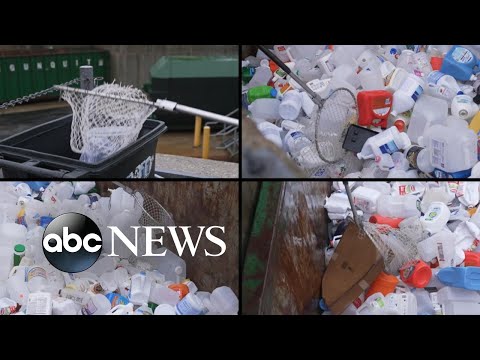 You are currently viewing Maine recycling law targets packaging waste