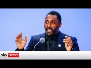 Read more about the article Idris Elba: Africa is ‘central’ to tackling climate change
