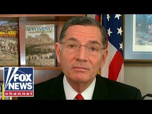 Read more about the article Sen. Barrasso on GOP battleground momentum: ‘Rejection election’