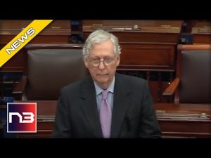 Read more about the article McConnell: America Just Taught Dems This Brutal Lesson