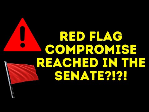 Read more about the article ALERT: Red Flag Compromise In Senate | SCOTUS Considering Red Flag Case