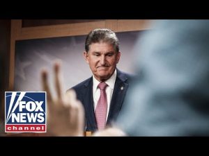 Read more about the article I don’t understand where Manchin’s coming from: Levin