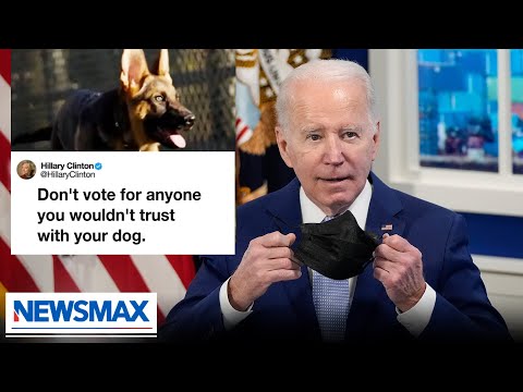 You are currently viewing Biden dogged over new family addition | Spicer & Co. on Newsmax