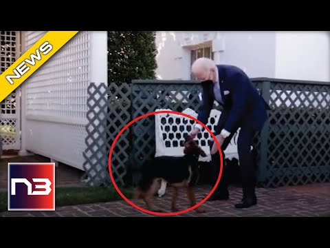 You are currently viewing Biden Tries To Distract From Failures By Using A Puppy