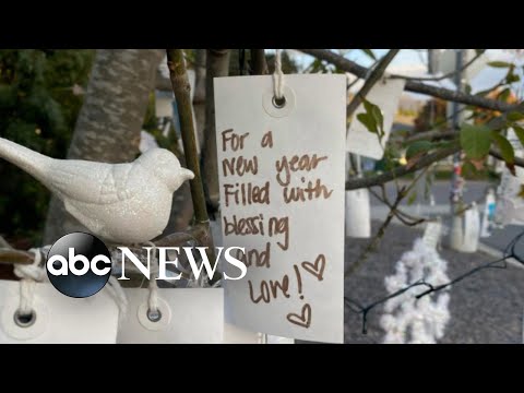 Read more about the article California Christmas tree decorated with handwritten wishes l WNT