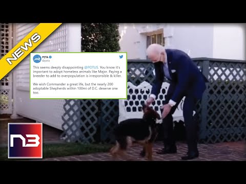 You are currently viewing PETA Calls Joe Biden A “Killer” For What He Did to His Dog