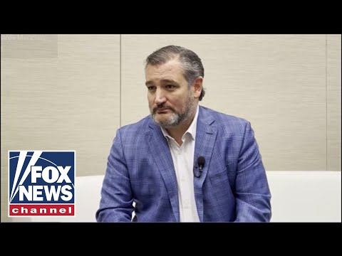 You are currently viewing Ted Cruz warns Democrat nastiness towards Manchin could backfire