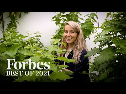 Read more about the article Best Of Forbes 2021: Innovation, Science & Technology | Forbes