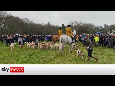 Read more about the article Annual Boxing Day hunt met with jeers and cheers