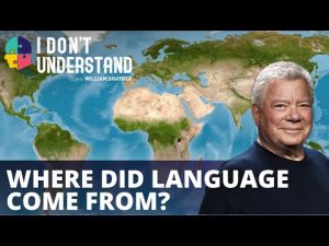 Read more about the article IDU: Where did language come from?