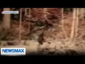 Read more about the article NEW sighting of Bigfoot raises a few questions | Eric Bolling The Balance