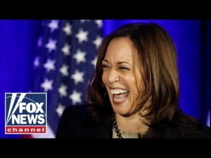 Read more about the article This is Kamala Harris’ biggest detriment: Failla