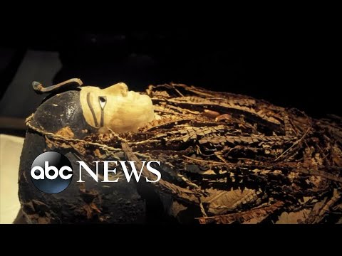 You are currently viewing Egypt digitally ‘unwraps’ mummy of King Amenhotep