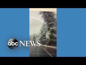 Read more about the article Oregon DOT worker avoids falling tree