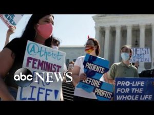 Read more about the article Democrats push for abortion rights law as Roe v. Wade challenged