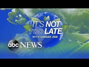 Read more about the article It’s Not Too Late: California port pollution plaguing local neighborhoods l ABCNL Prime