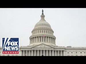 Read more about the article Democrats ‘created’ the debt limit problem: Marsha Blackburn | Fox News Rundown