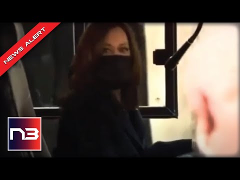 You are currently viewing Kamala Harris Busts Onto Bus, Honks Horn And Breaks Into “Wheels On The Bus Go Round And Round”