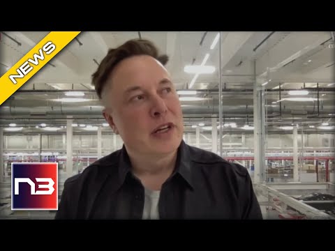 Read more about the article Elon Musk Just SLAMMED Biden With This Undeniable Truth