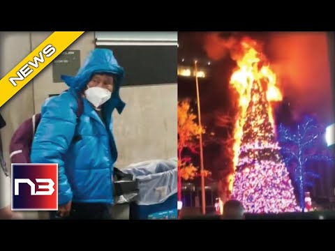 Read more about the article Christmas Tree Roasting On An Open Fire Man Responsible Released Without Bail