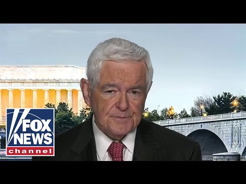 You are currently viewing Newt Gingrich: It’s the DC elites against the rest of the country