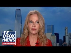 Read more about the article Kellyanne Conway: Crime, education will drive suburban voters in the midterms