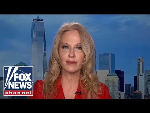 Read more about the article Kellyanne Conway: Crime, education will drive suburban voters in the midterms