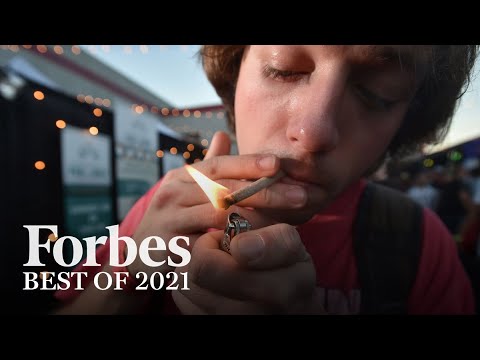 Read more about the article Best Of Forbes 2021: Vices | Forbes