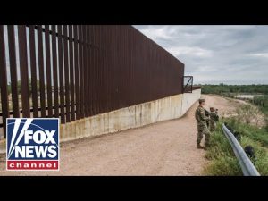 Read more about the article The Biden administration is hiding this: Border patrol official