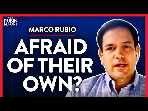 Read more about the article Senator: This Tactic Could Blow Up In Democrat’s Faces (Pt.2)| Marco Rubio | POLITICS | Rubin Report