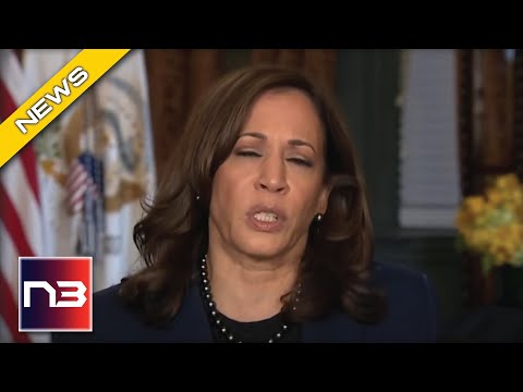 You are currently viewing Dem’s Vision For America Revealed By Kamala And It’s ILLEGAL