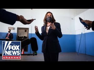 Read more about the article Kamala Harris slammed as ‘your typical politician’ handling the border crisis