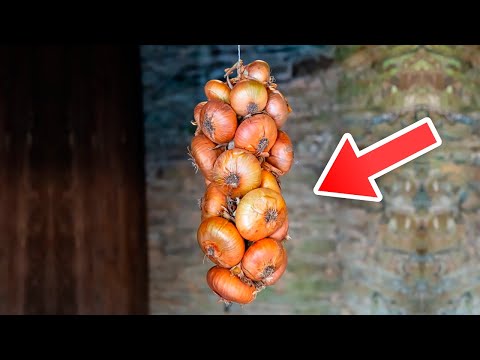 You are currently viewing Here’s Why You Should Hang Your Onions