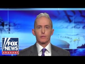 Read more about the article Trey Gowdy: This is the future of conservative politics