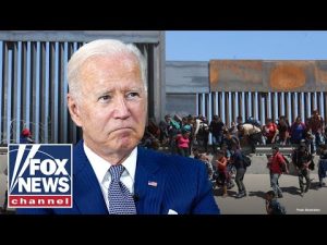 Read more about the article Biden administration torched over immigration crisis