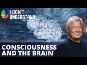 Read more about the article IDU: Consciousness and the brain