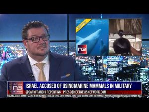 Read more about the article Israel Accused of Using Beloved Marine Mammal In Military Tactics