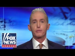 Read more about the article Gowdy: This is a textbook definition of anti-democratic