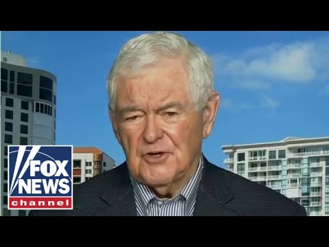 Read more about the article Newt Gingrich: Democrats are absolutely fixed on their radical wing